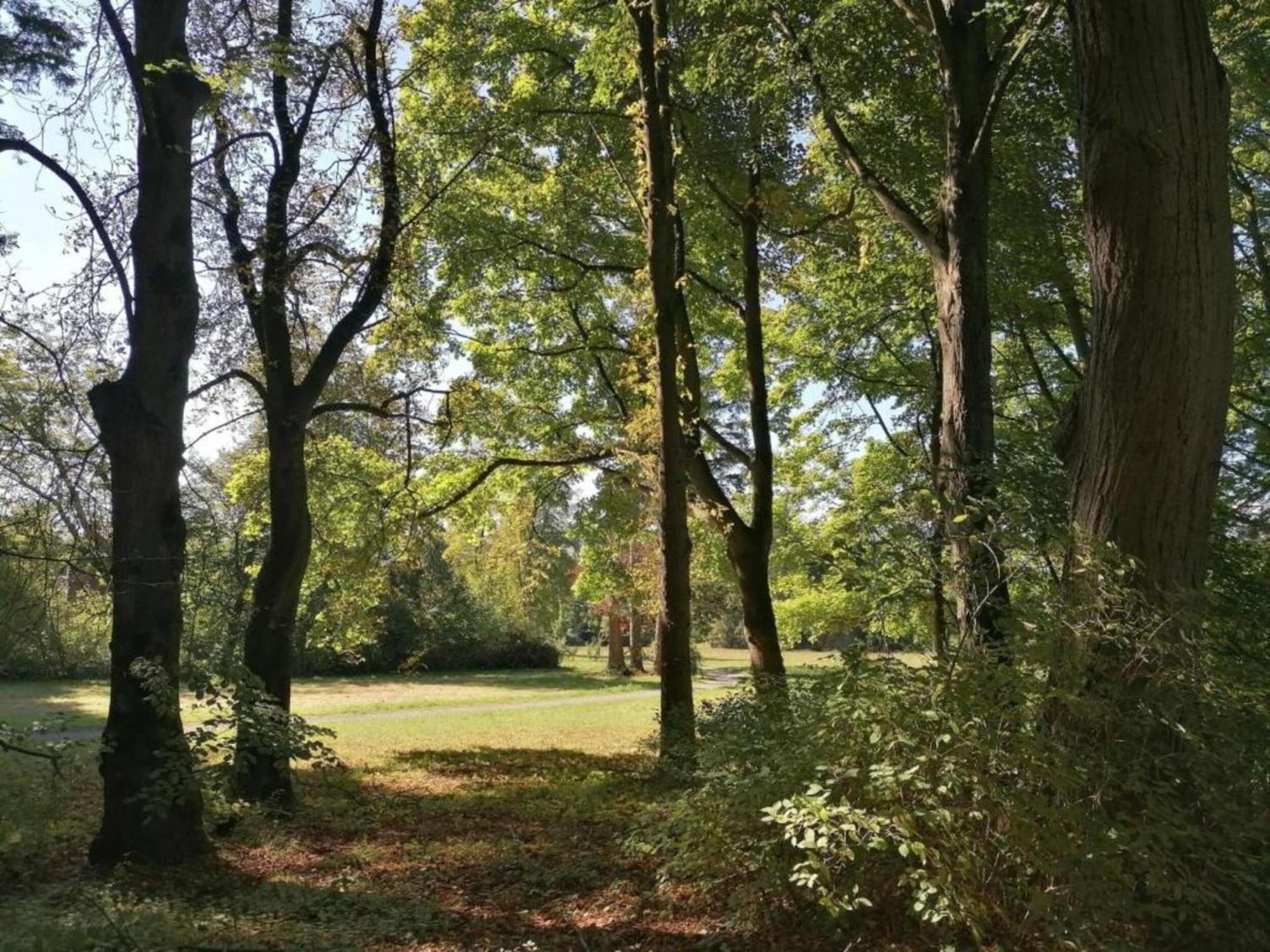 Spacious Apartment In Weser Uplands With Garden Bad Pyrmont Esterno foto