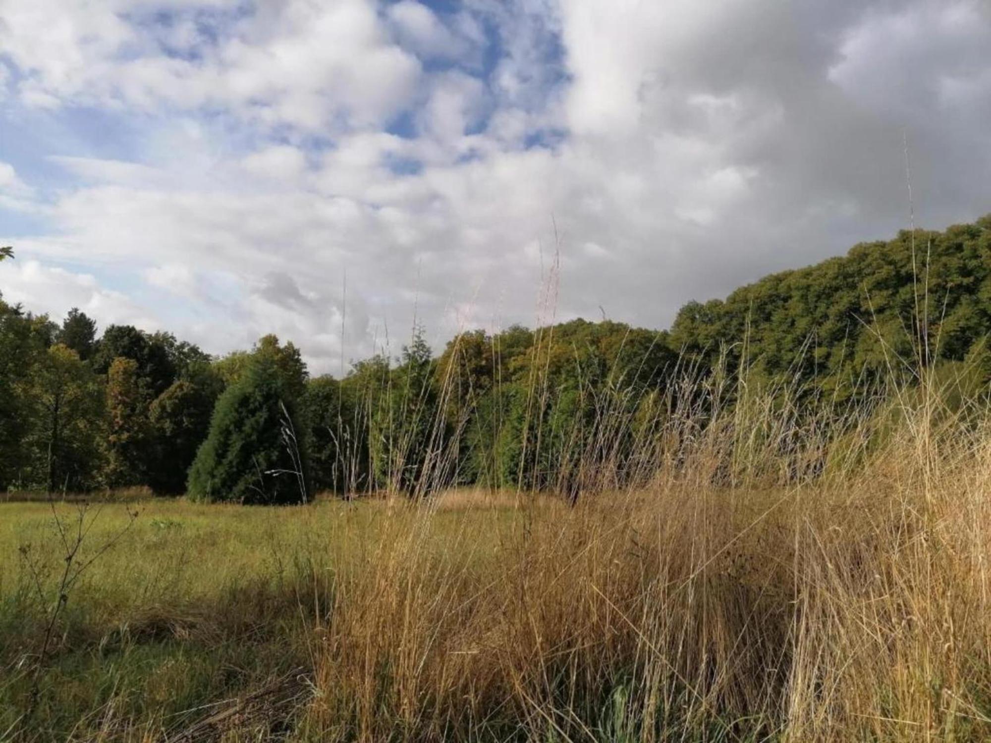 Spacious Apartment In Weser Uplands With Garden Bad Pyrmont Esterno foto